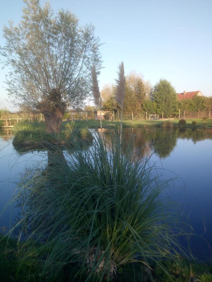 Chambre Coin Nature Fromelles Kültér fotó